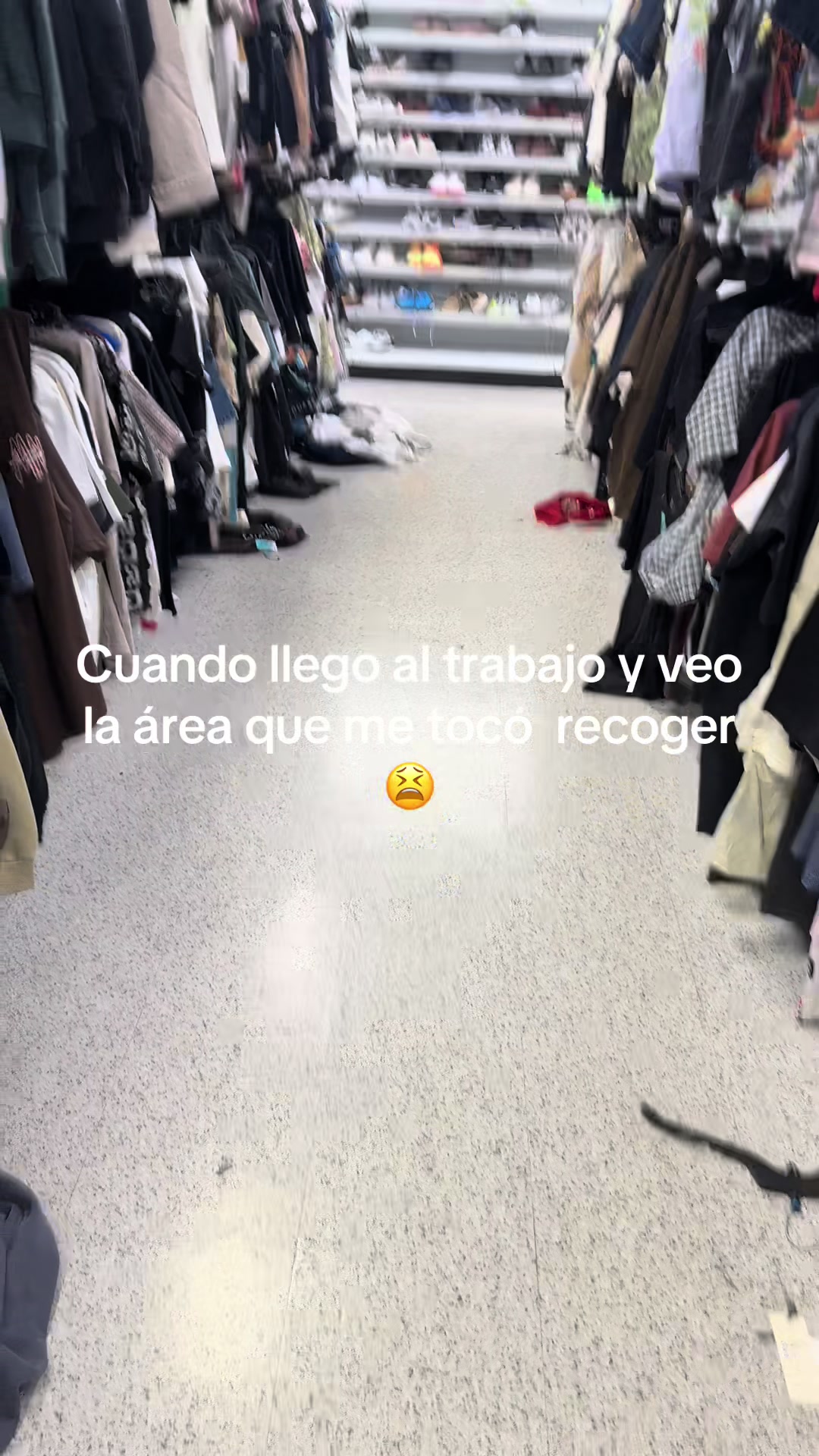 @adyvega23