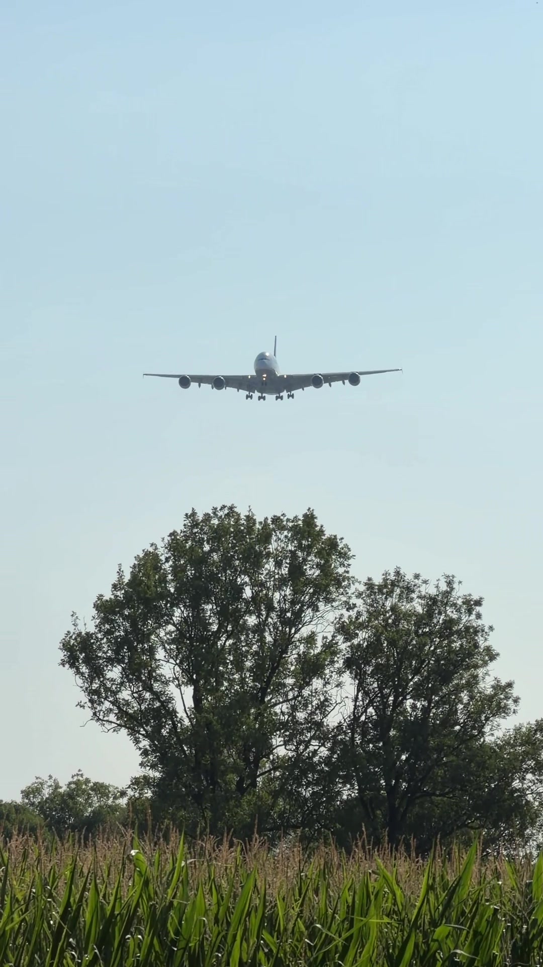 @JazzyFizzleMUC🛩️
