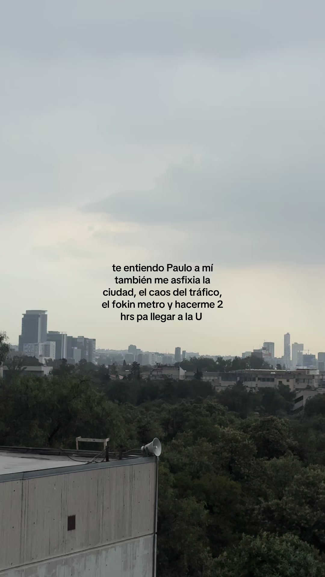 @El itsnestor