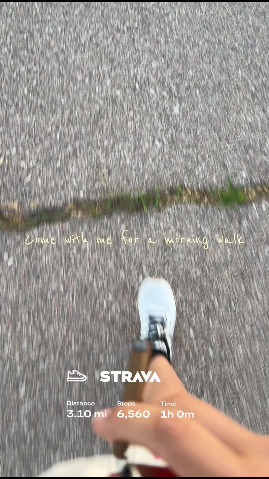 @dosiadee