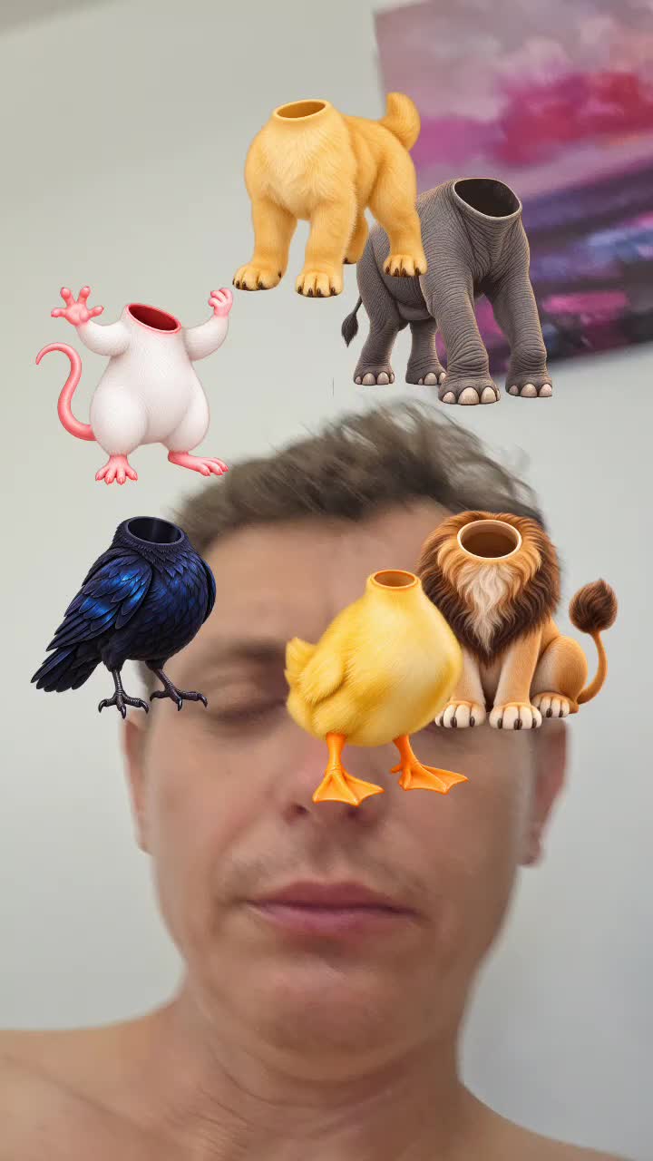 @newstorys7