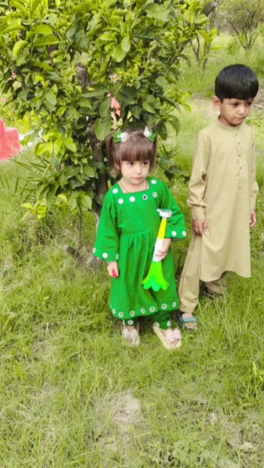 @Rafi Ullah