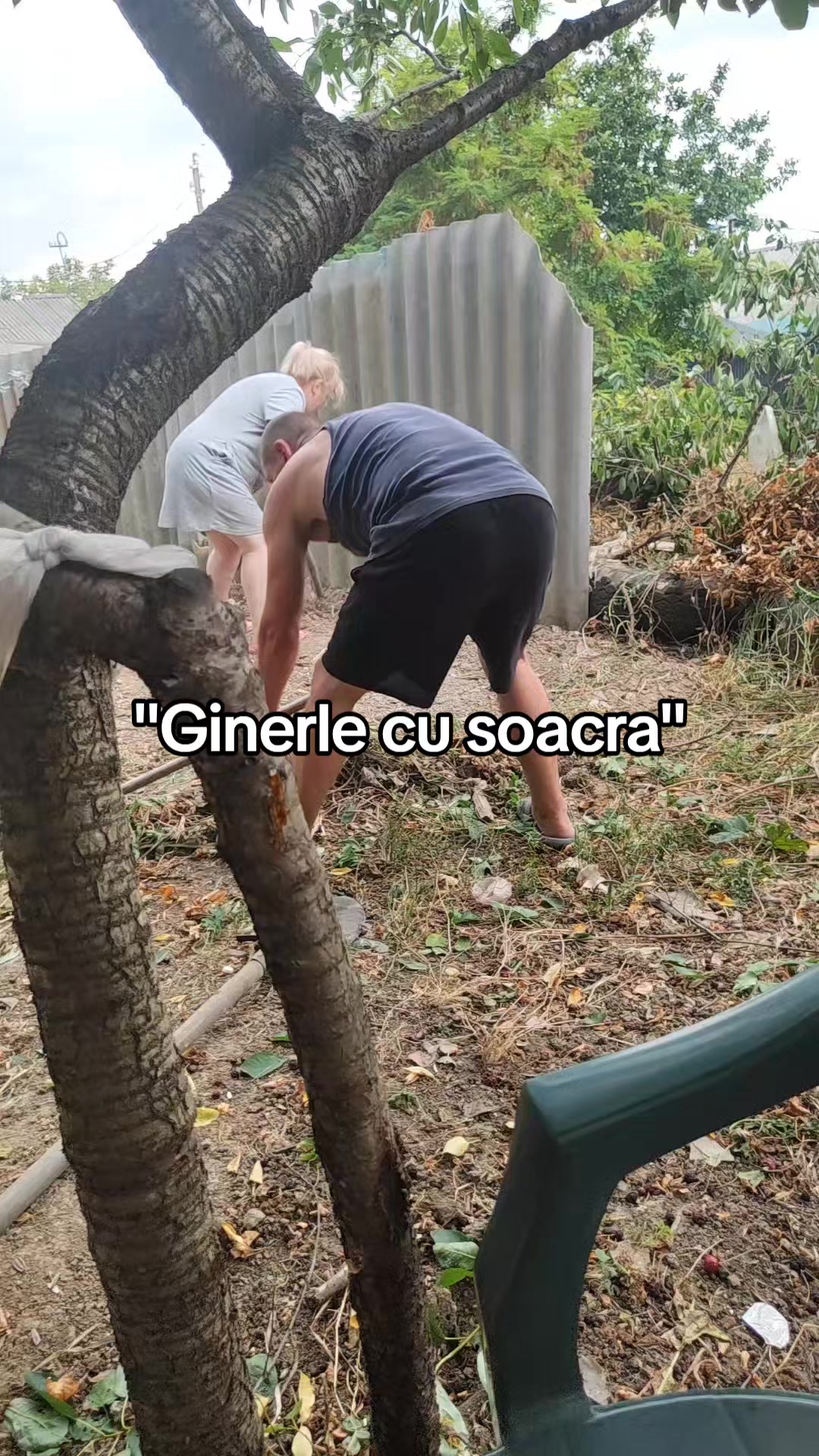 @Cristina