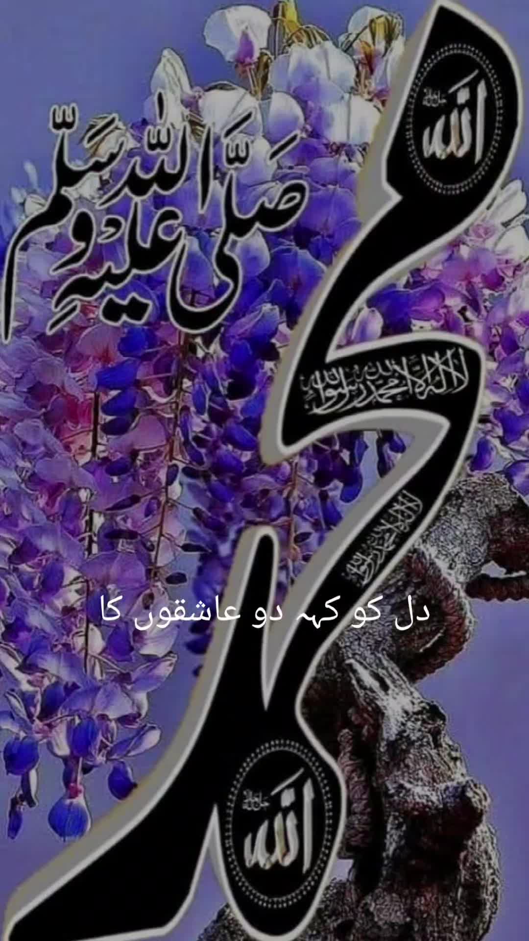 @❤️Jaana khan❤️🥀A❤️