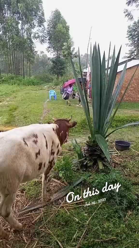 @N🌹a💦o💞m💜y🤍🌺💐🇰🇪