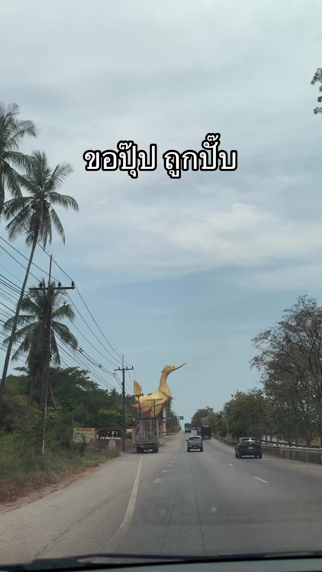 @PB(ผักบุ้ง)