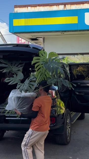 @BM-JOV GARDEN CENTER