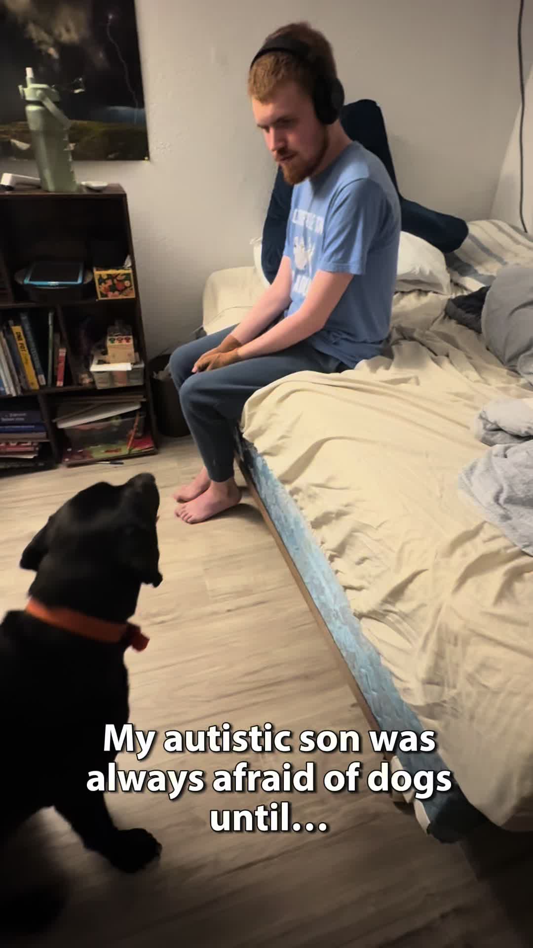 @Pawsitive Spectrum