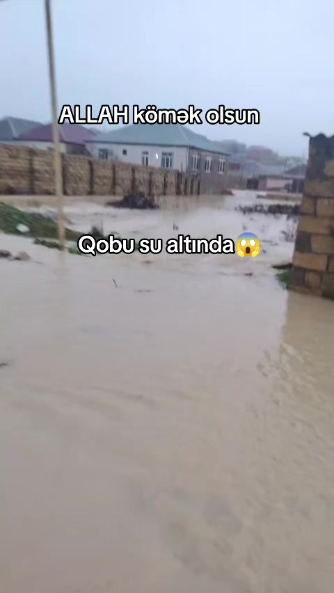 @DamğaTV_official