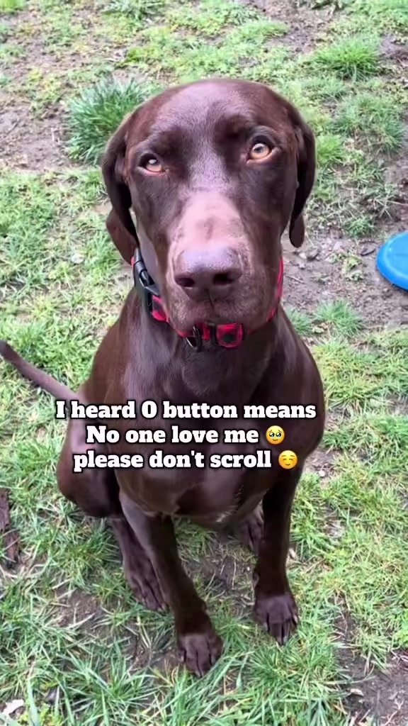@Rocky_and_mom 🐾❤️🐶