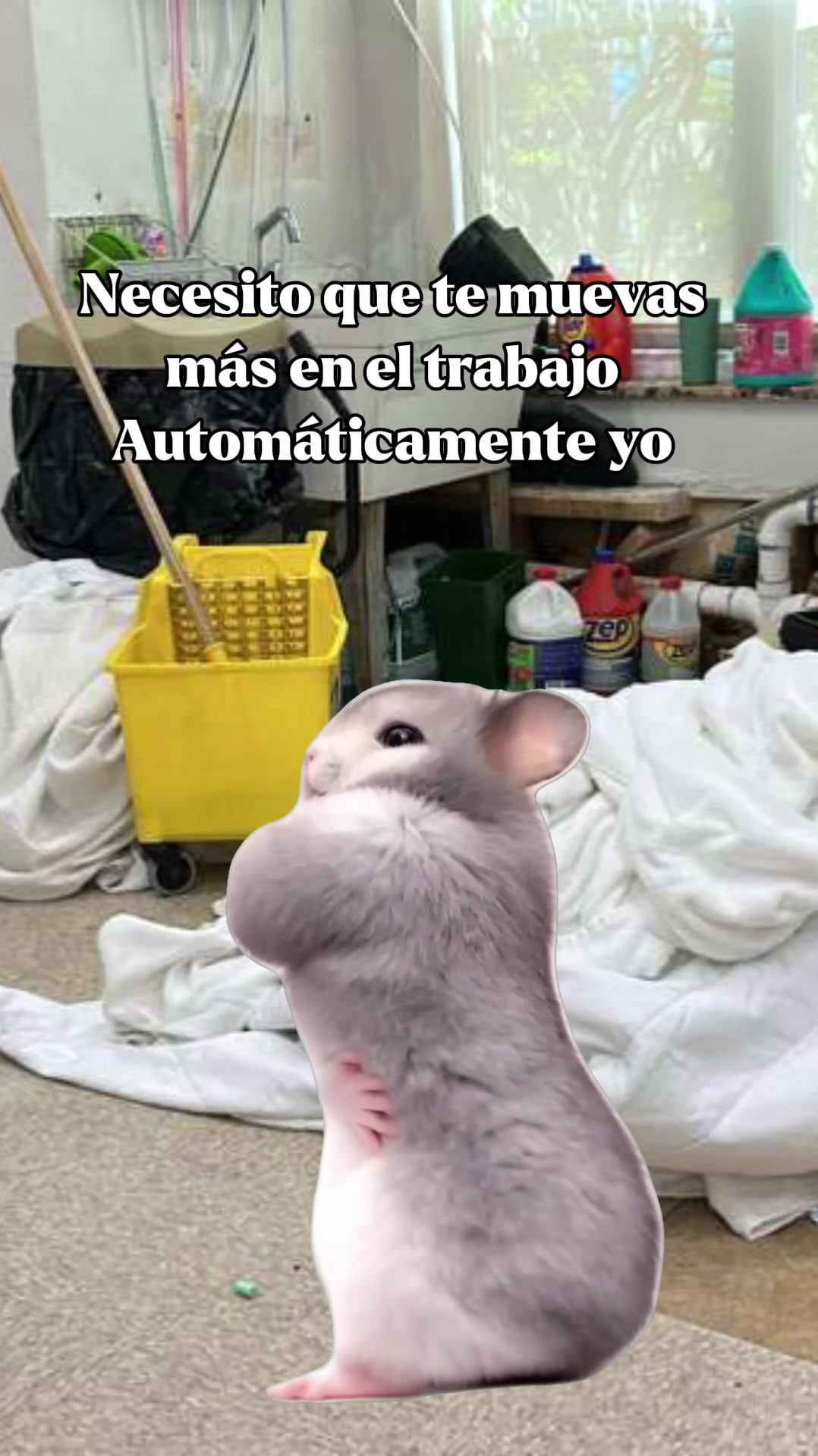 @Daniela Gallardo