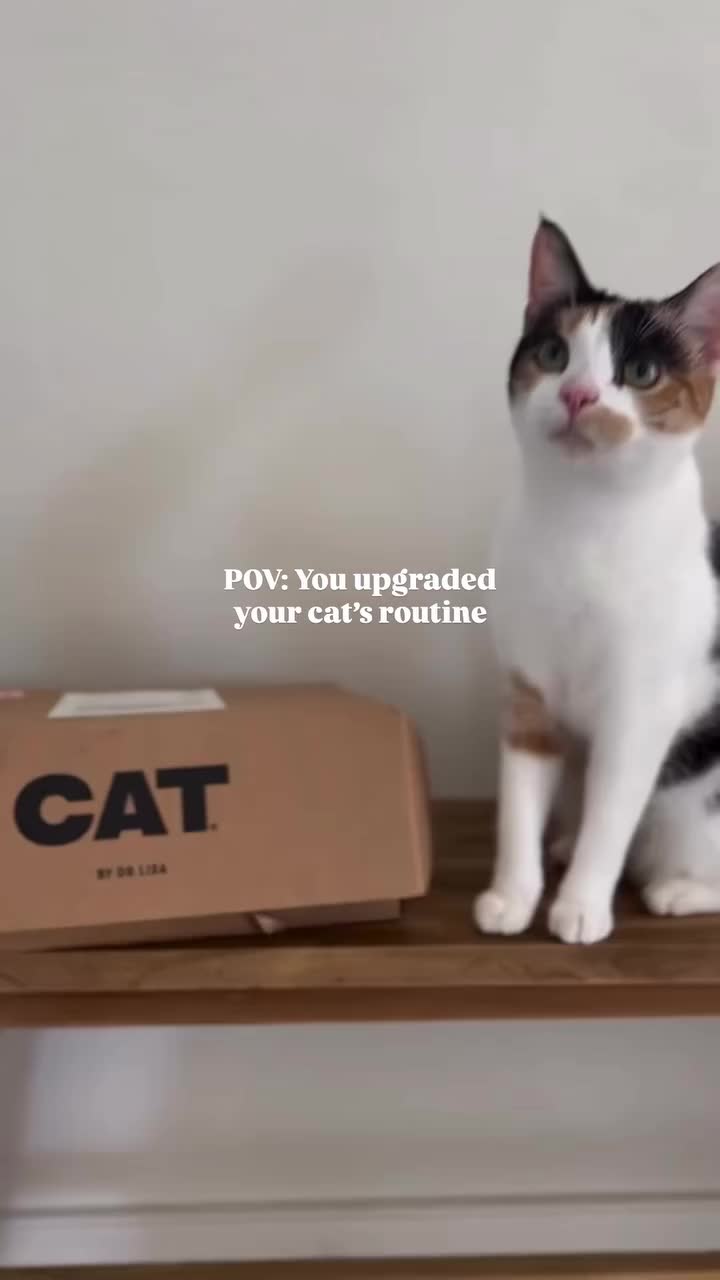 @CAT by Dr Lisa