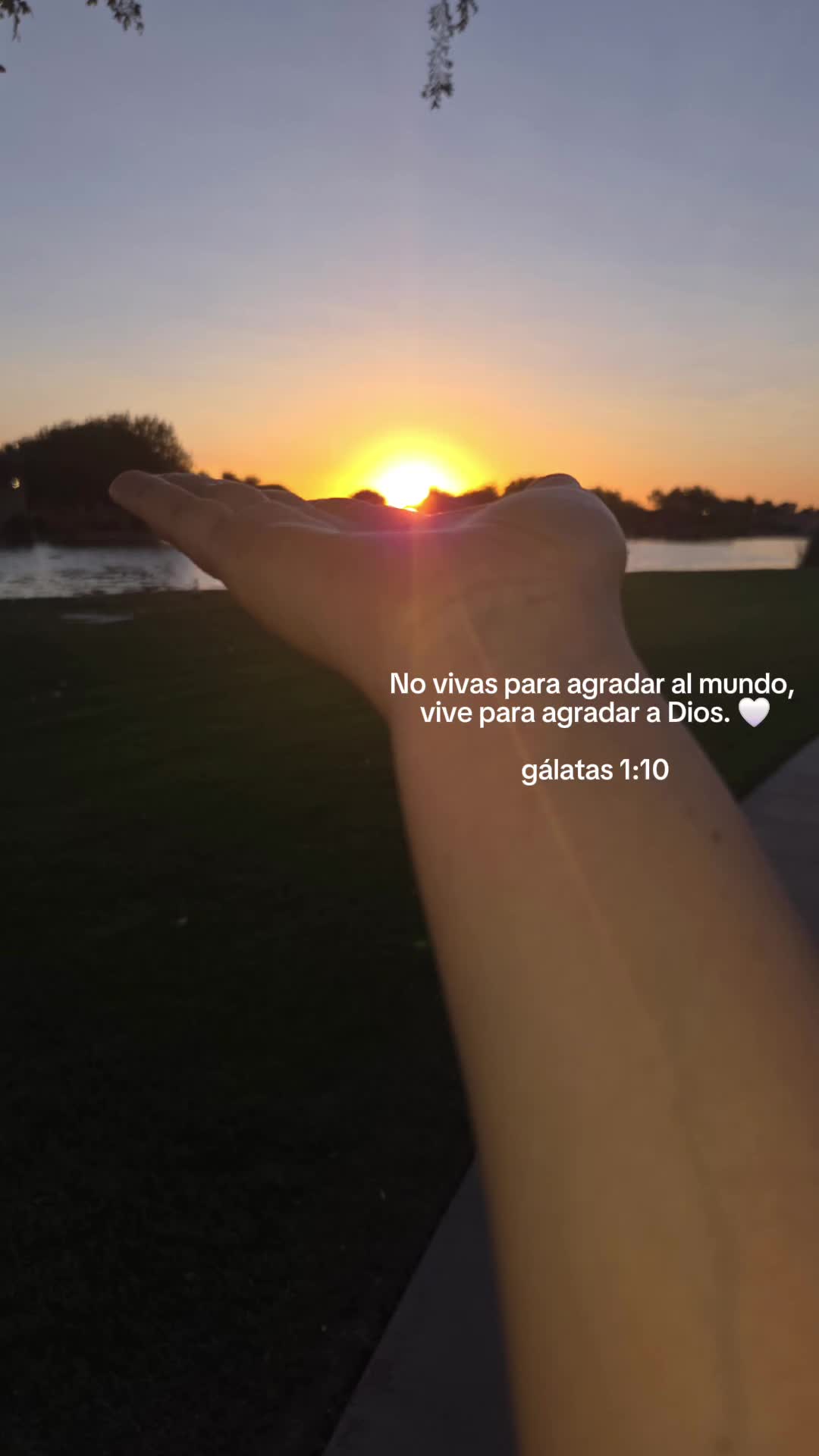 @Maribel 🌻