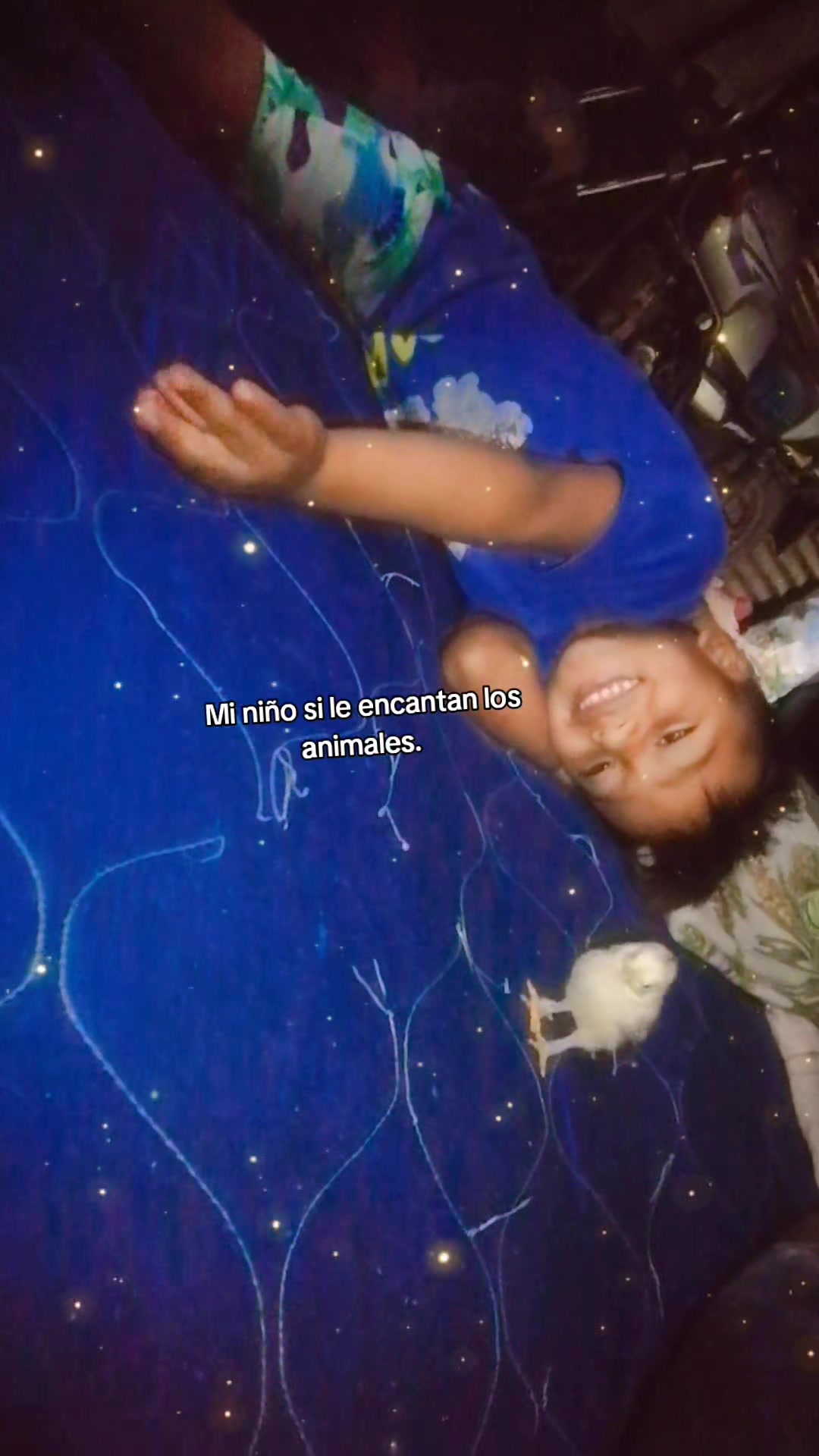 @Dayanita Rodriguez