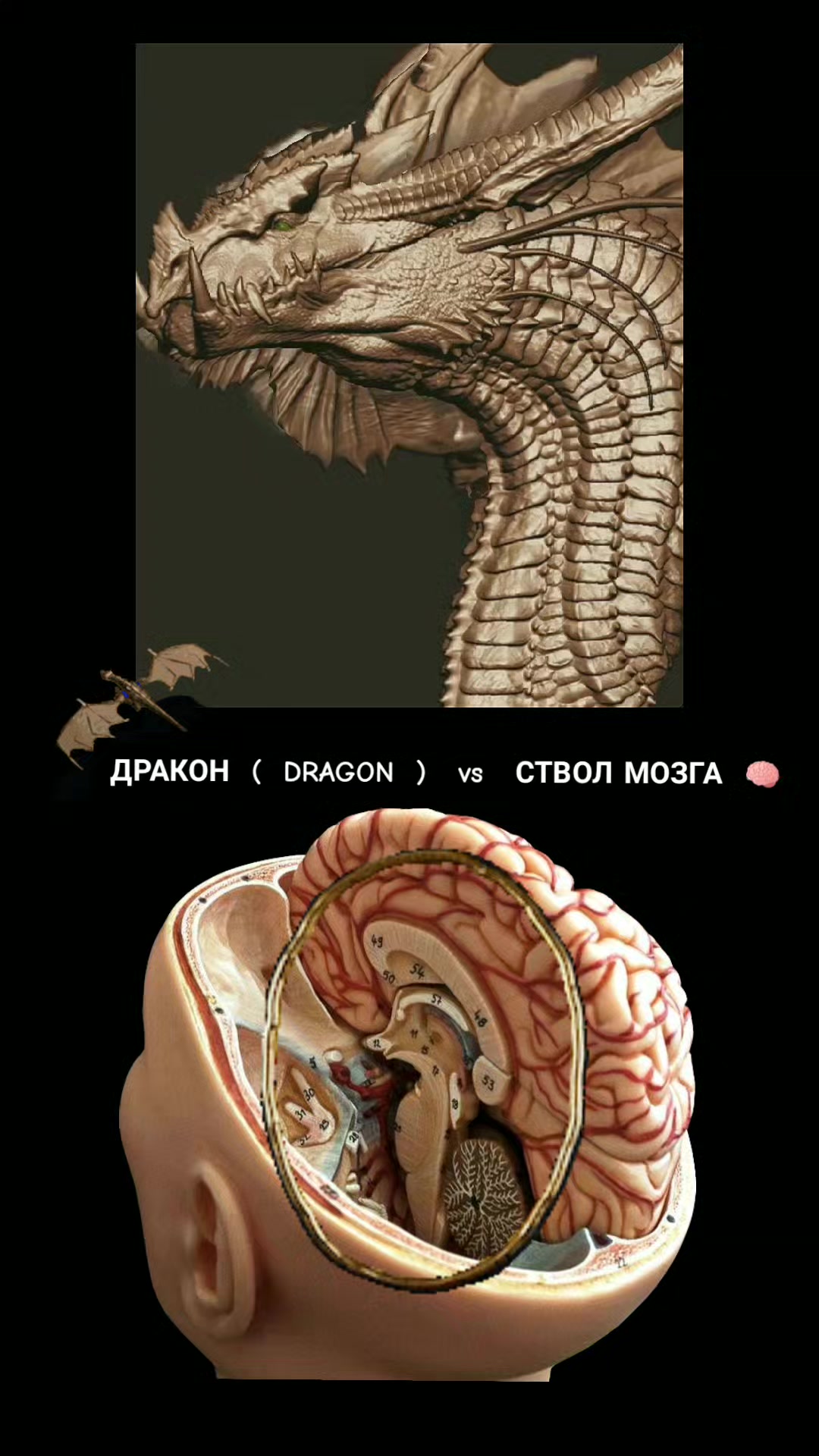 @ОЛЬГА ВЕЛЖИЧ