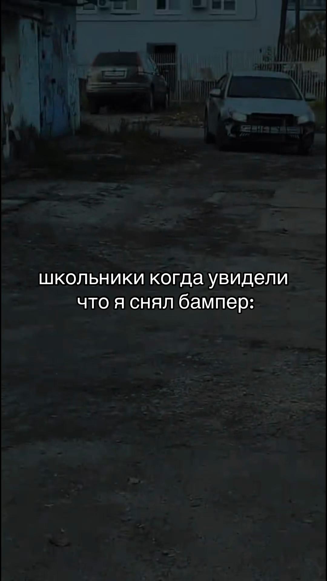 @Luxx_Polar