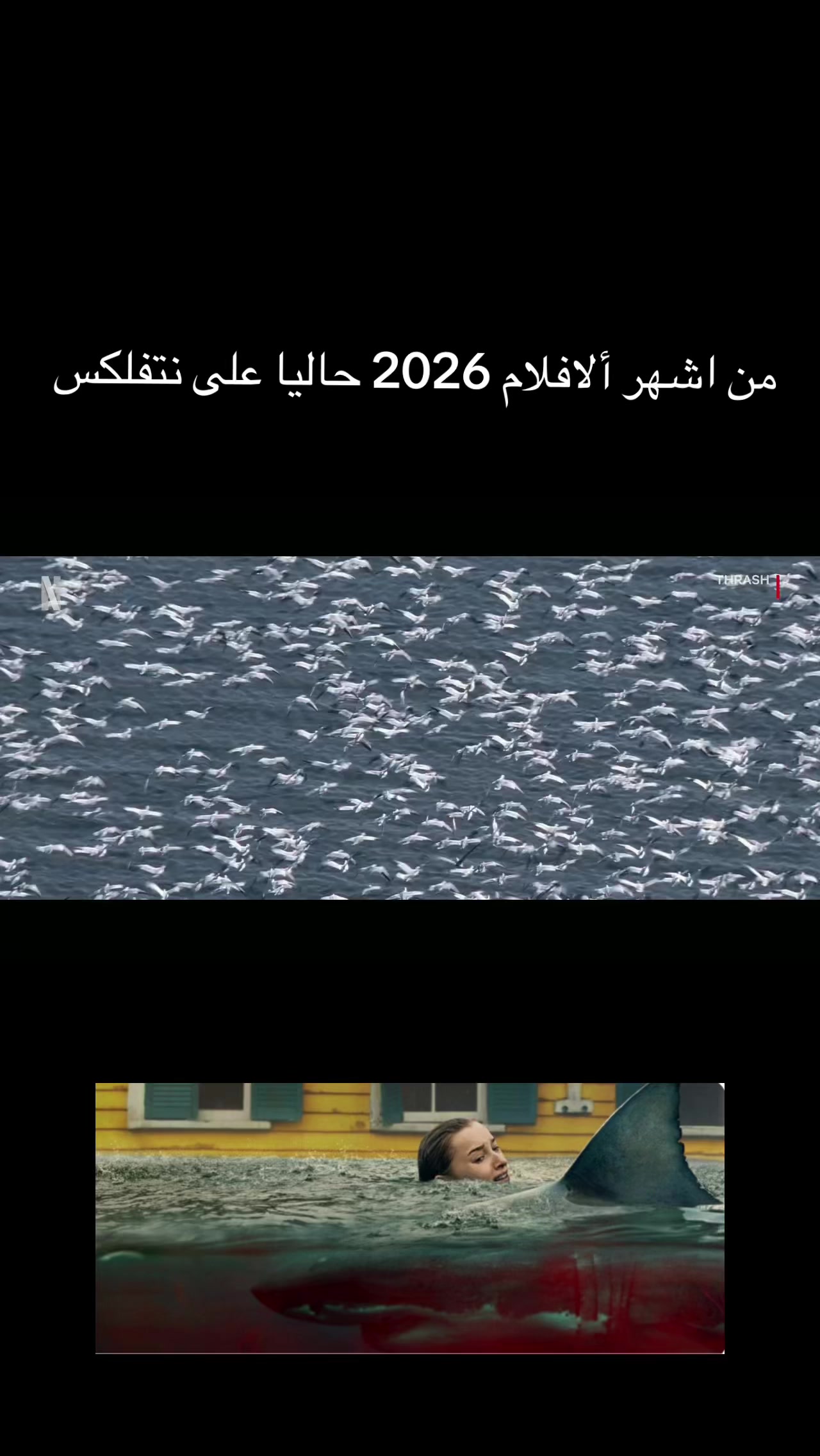 @أسرار_القلوب