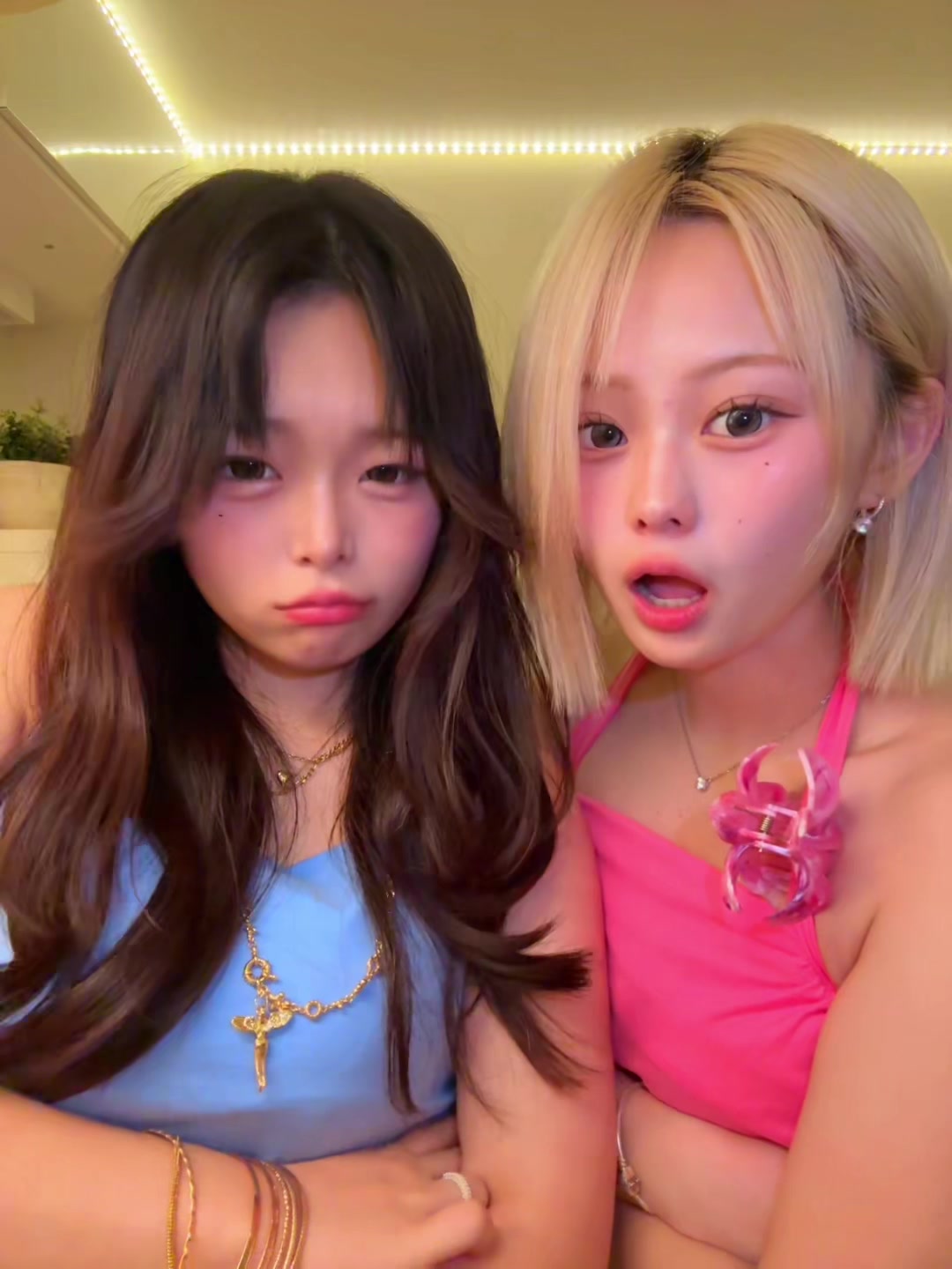 @ハニミニ