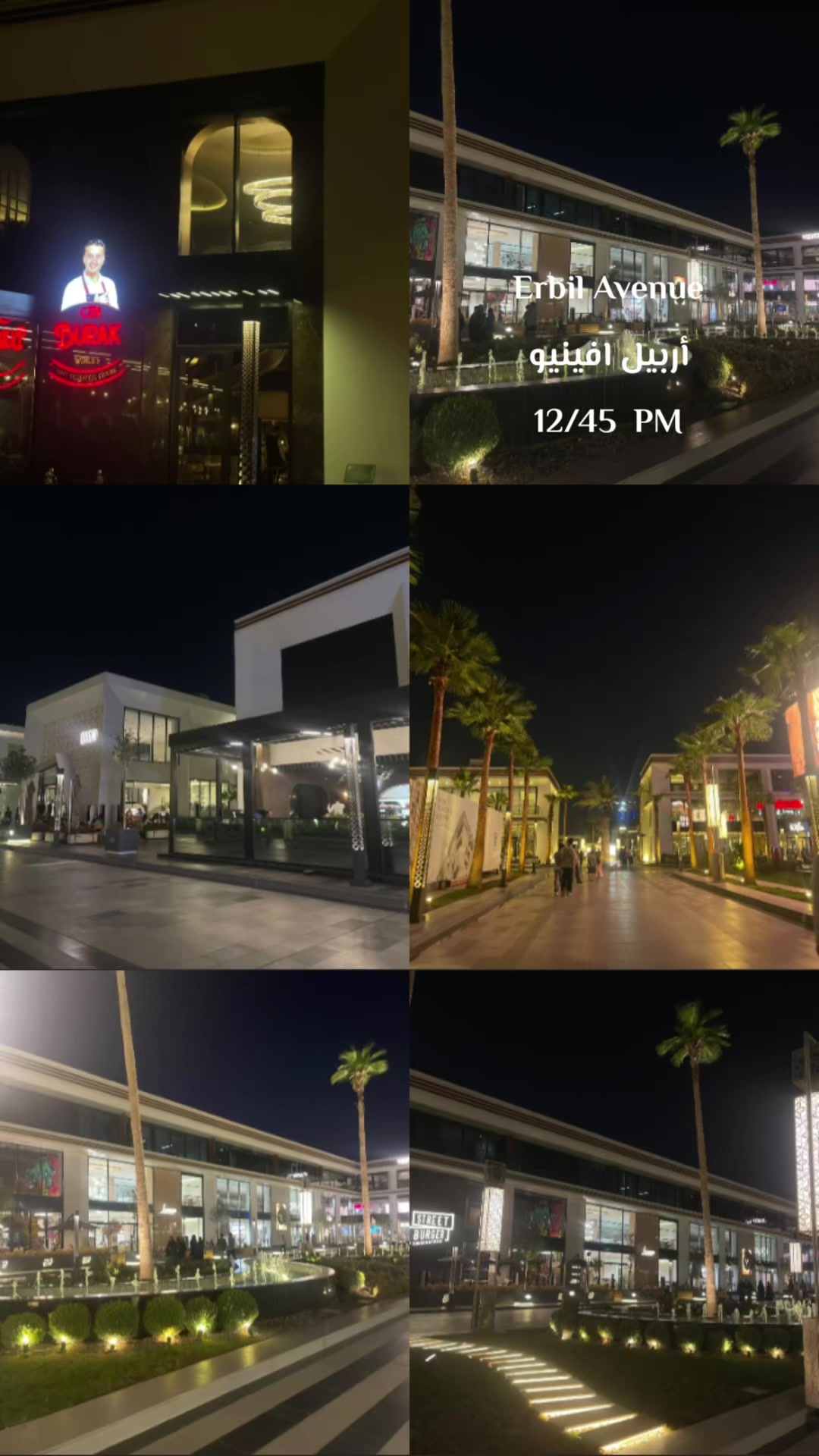 @⋆.˚✮ ريحانة الربيع✮˚.⋆