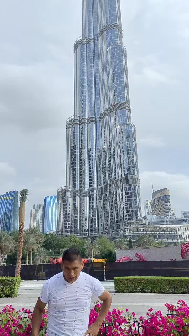 @ollucocharquiperejil