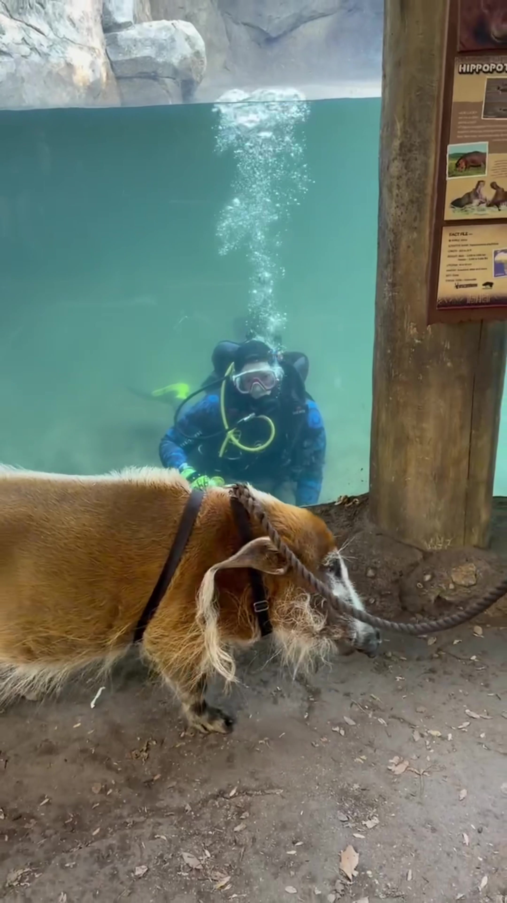 @Cincinnati Zoo