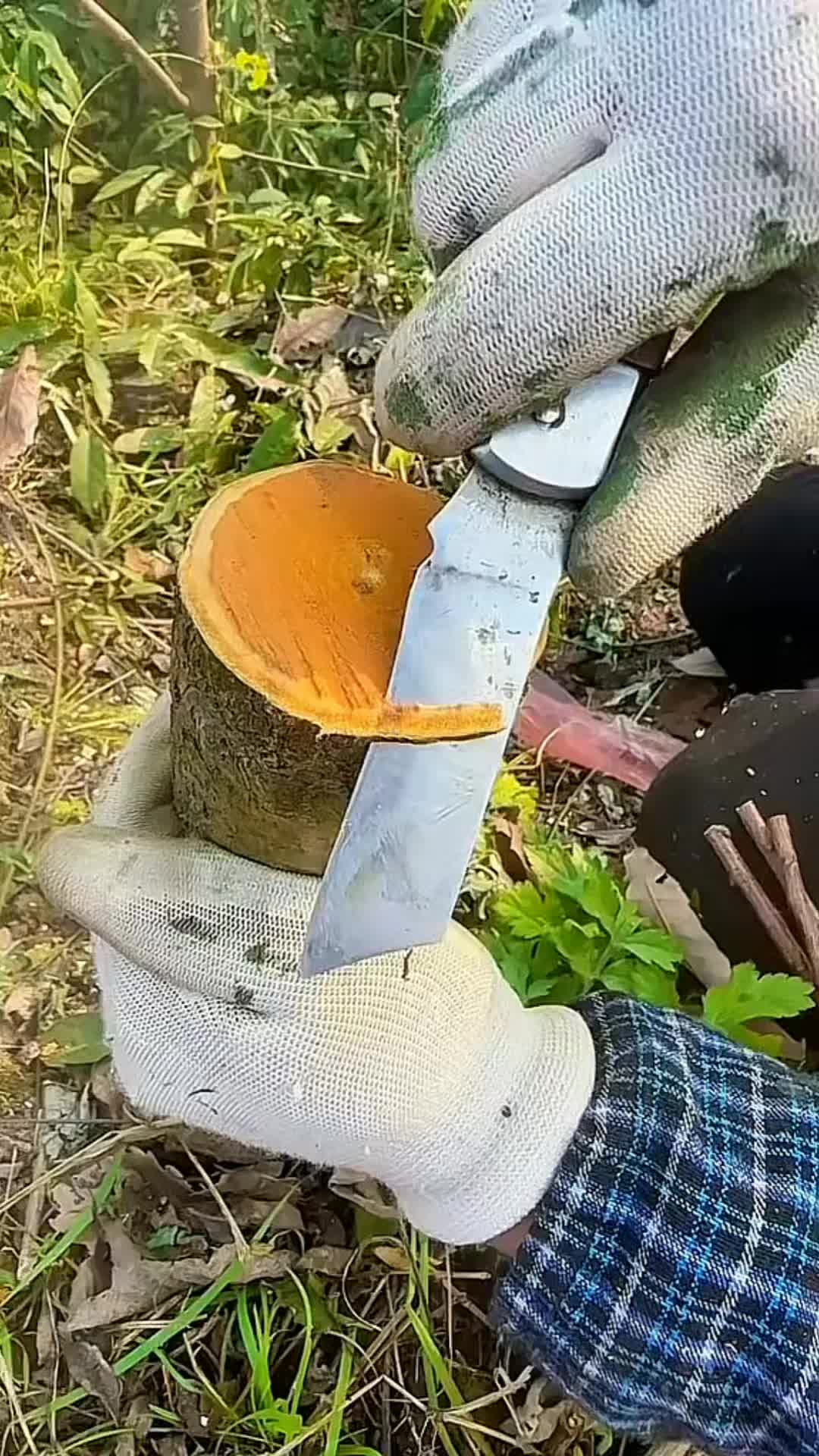 @Grafting&Planting