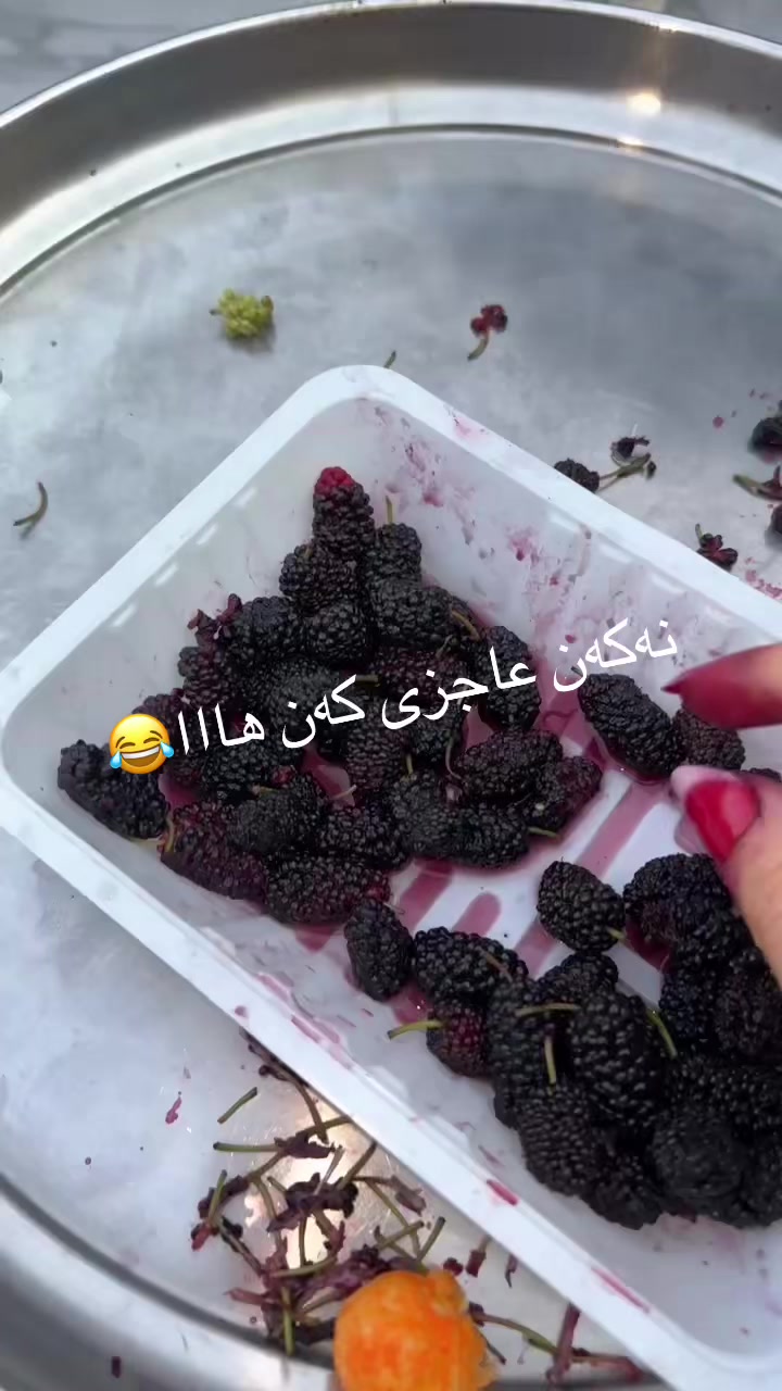 @Ms.Lina99