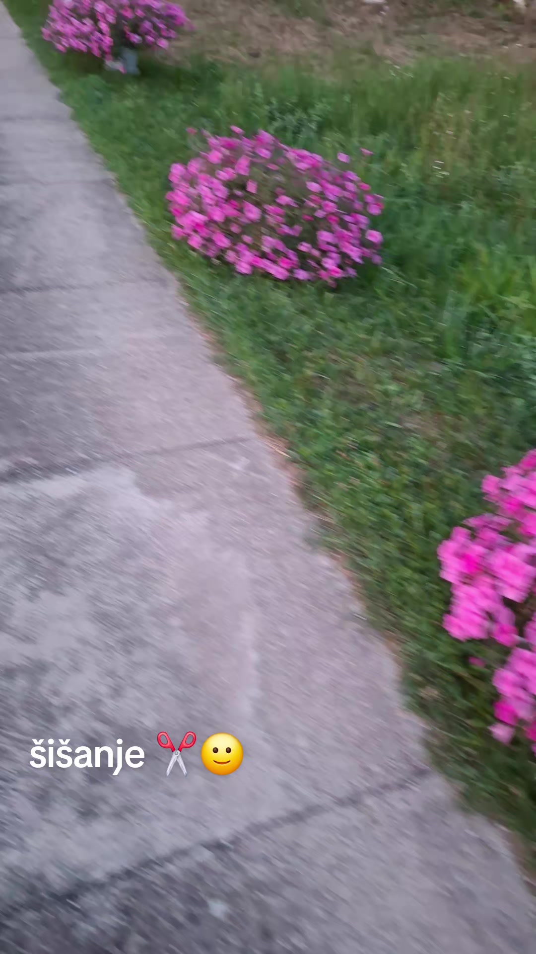 @ₛₗₐₜₖₐ ₘₐₗₐ ᵢzᵥᵣₙᵤₜₐ ₜₒᵣₜₐ🍒