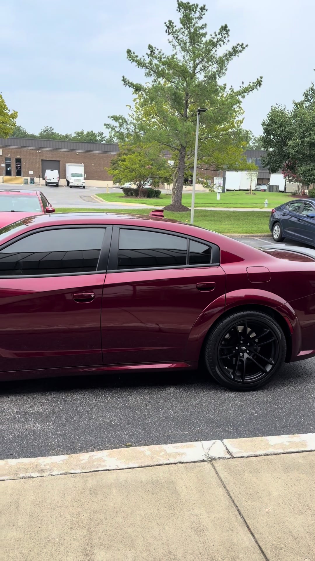 @Shadedarker_windowtinting