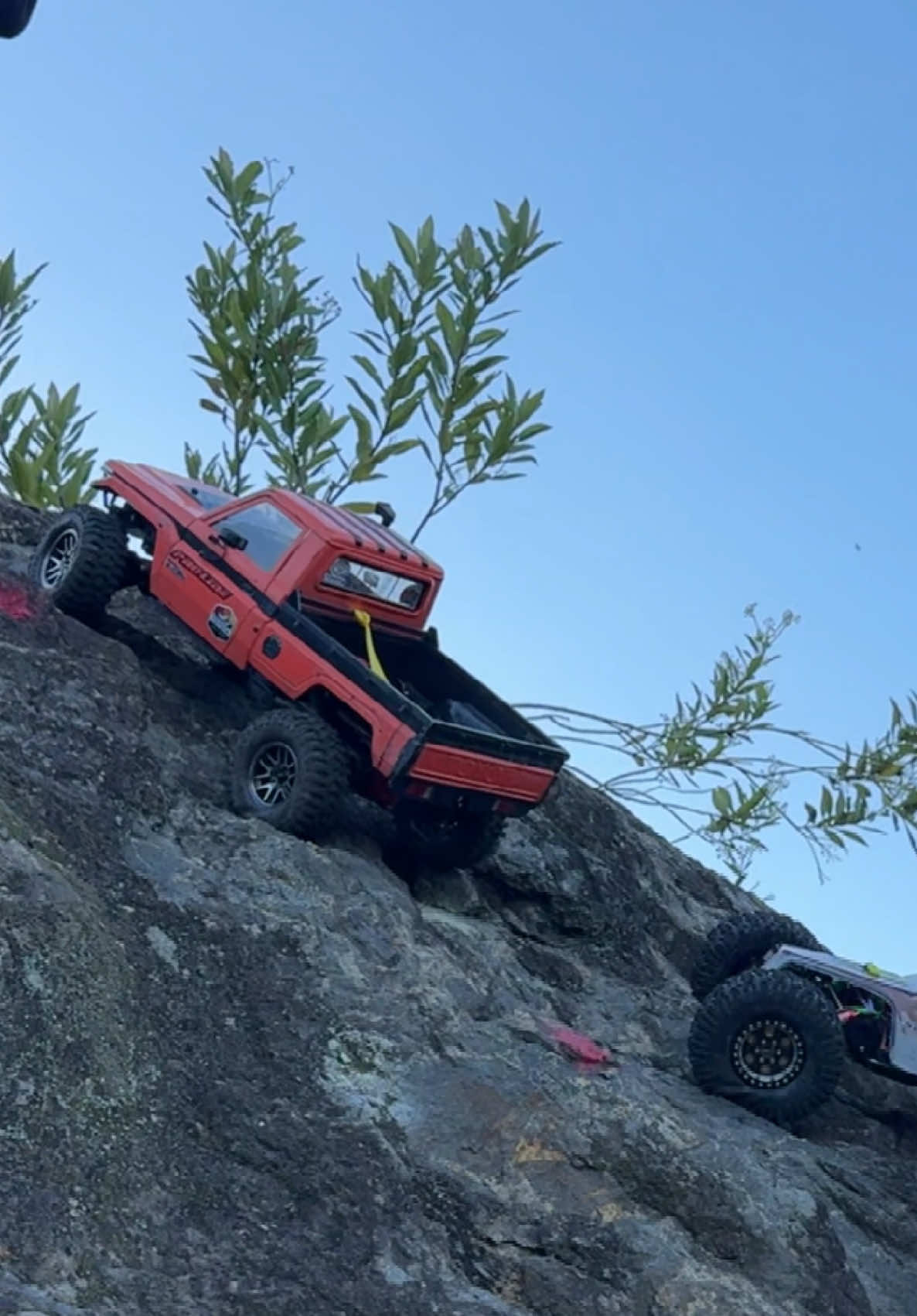 @Crawler RC Medellin