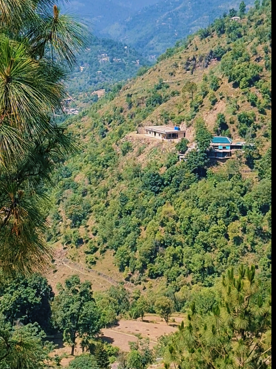 @kashmir 🍁کاشر دیش