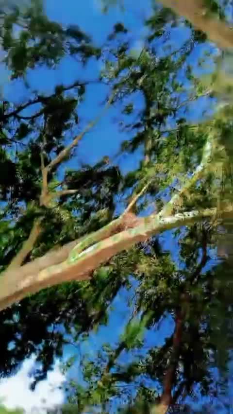@سردار شان خان بلوچ 😡