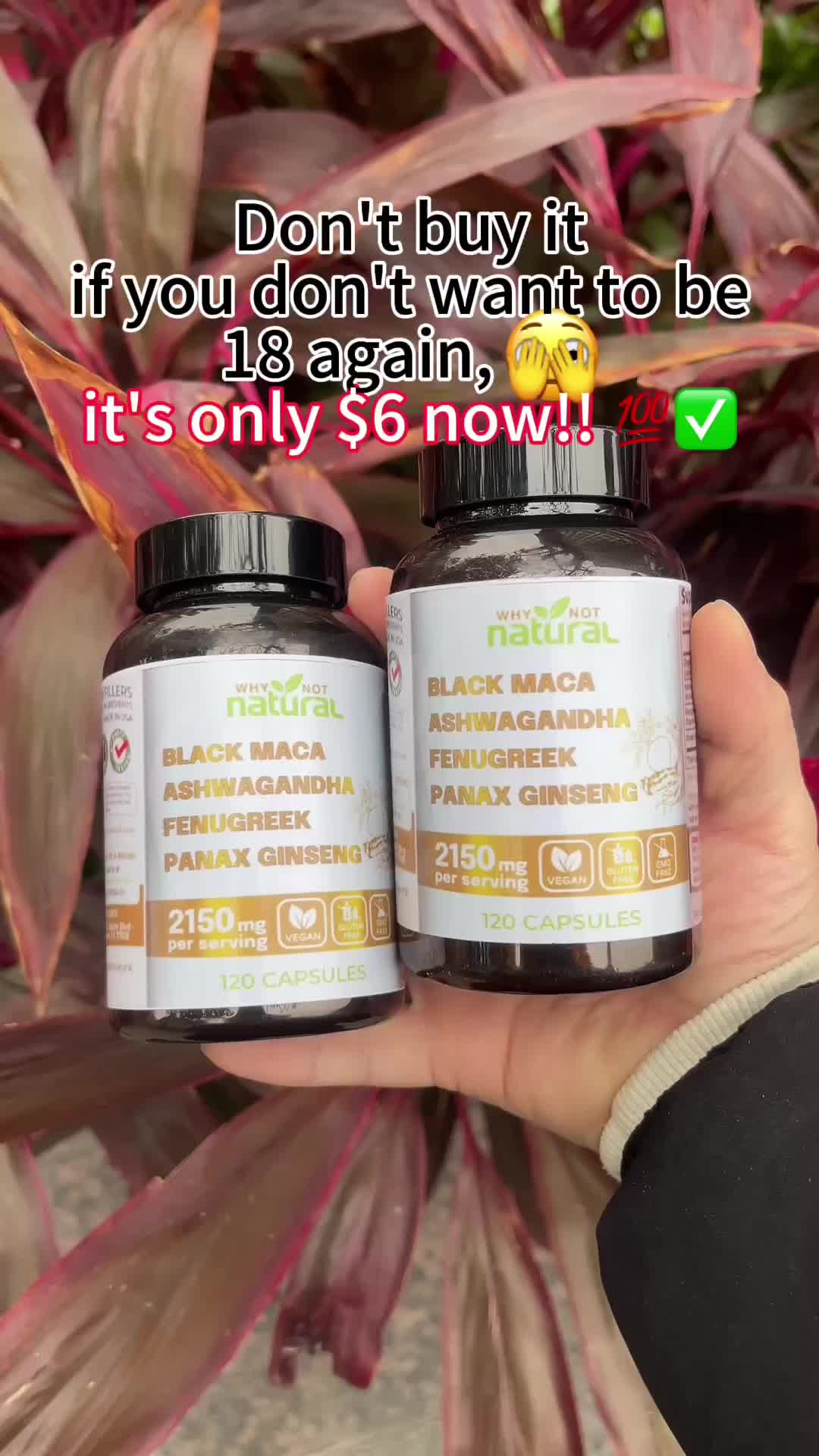 @ngfbdvdcs