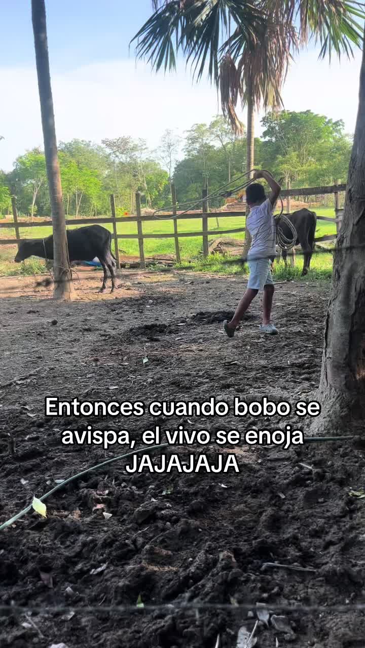 @Vanessa! 🐼🇨🇴