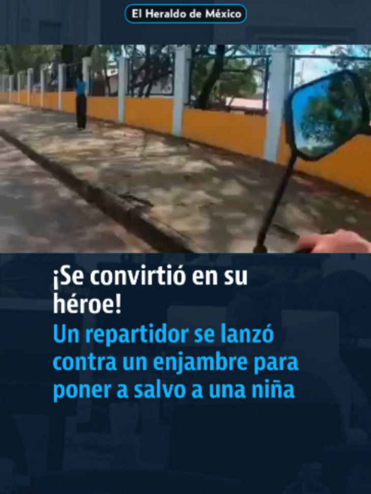@elheraldodemexico