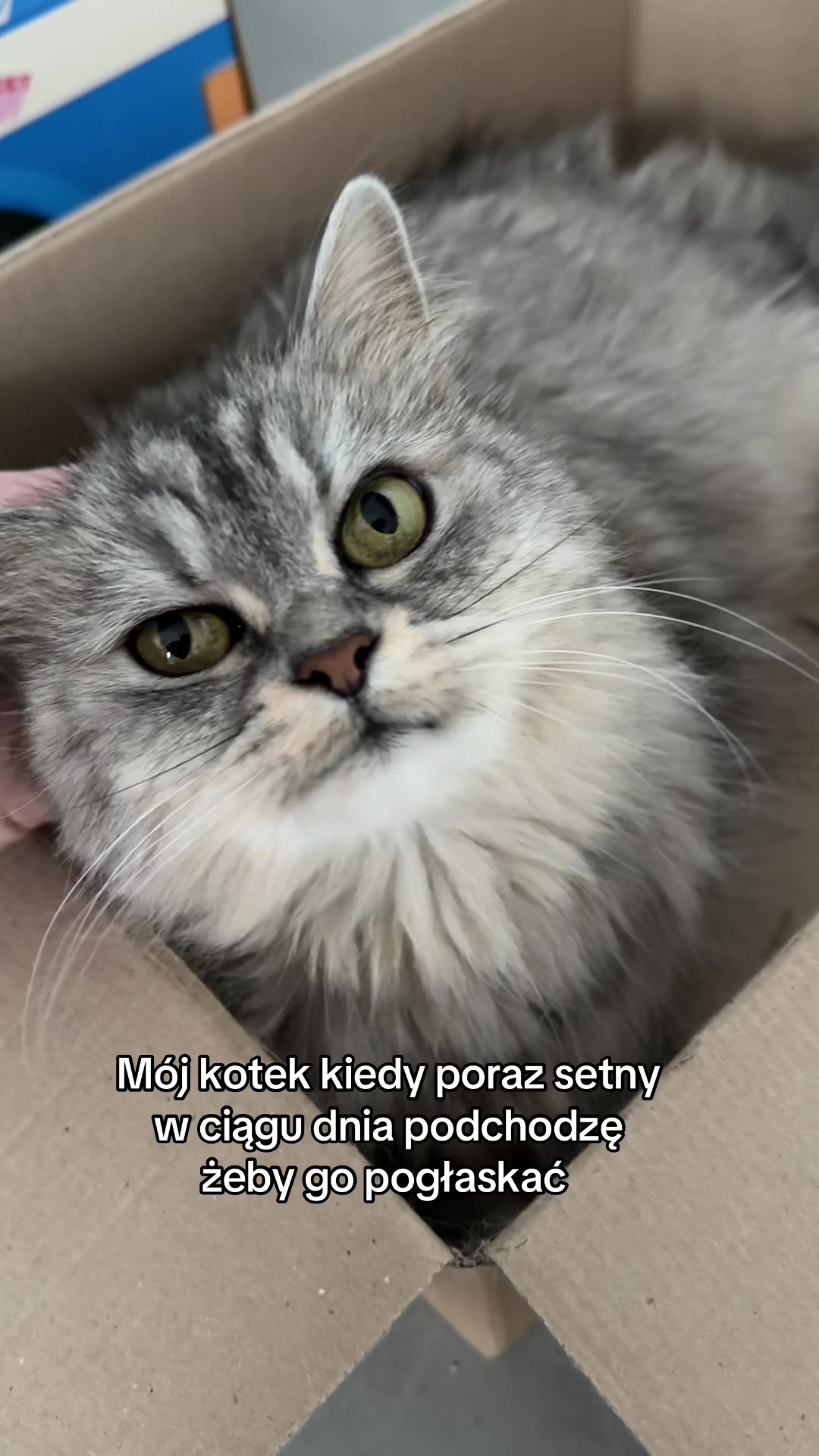 @๐๐๐ ๐๐๐ ๐ ๐ง๐ง ®