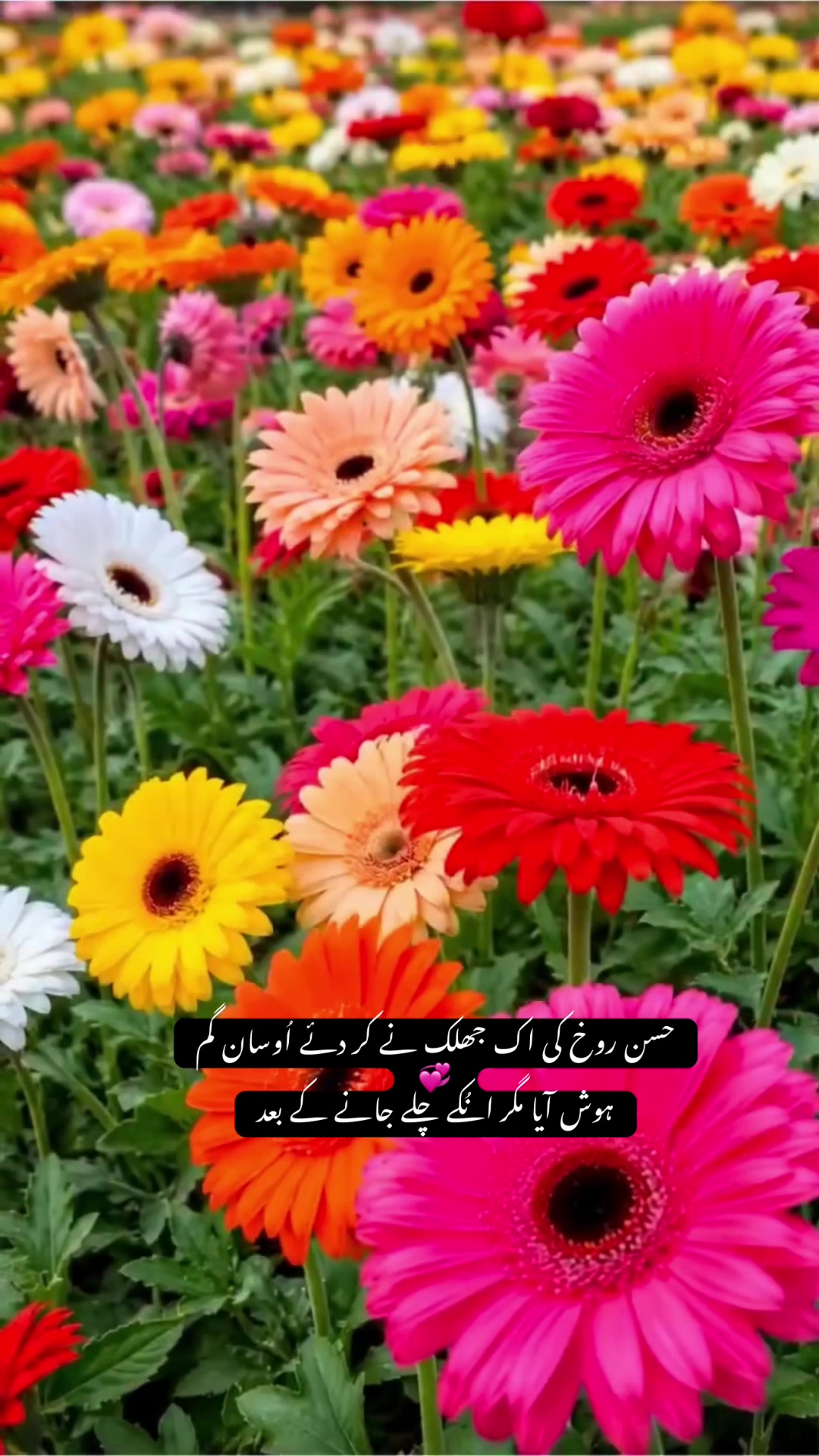 @💞💞Sara💞💞