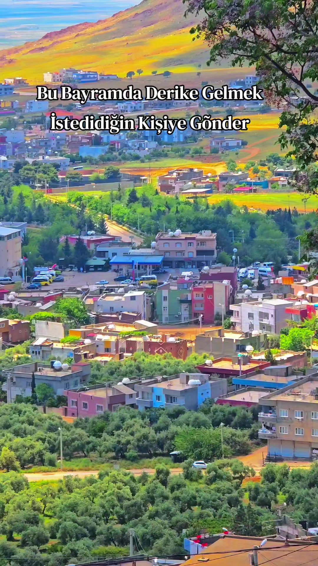 @Rıdvan A&ccedil;an