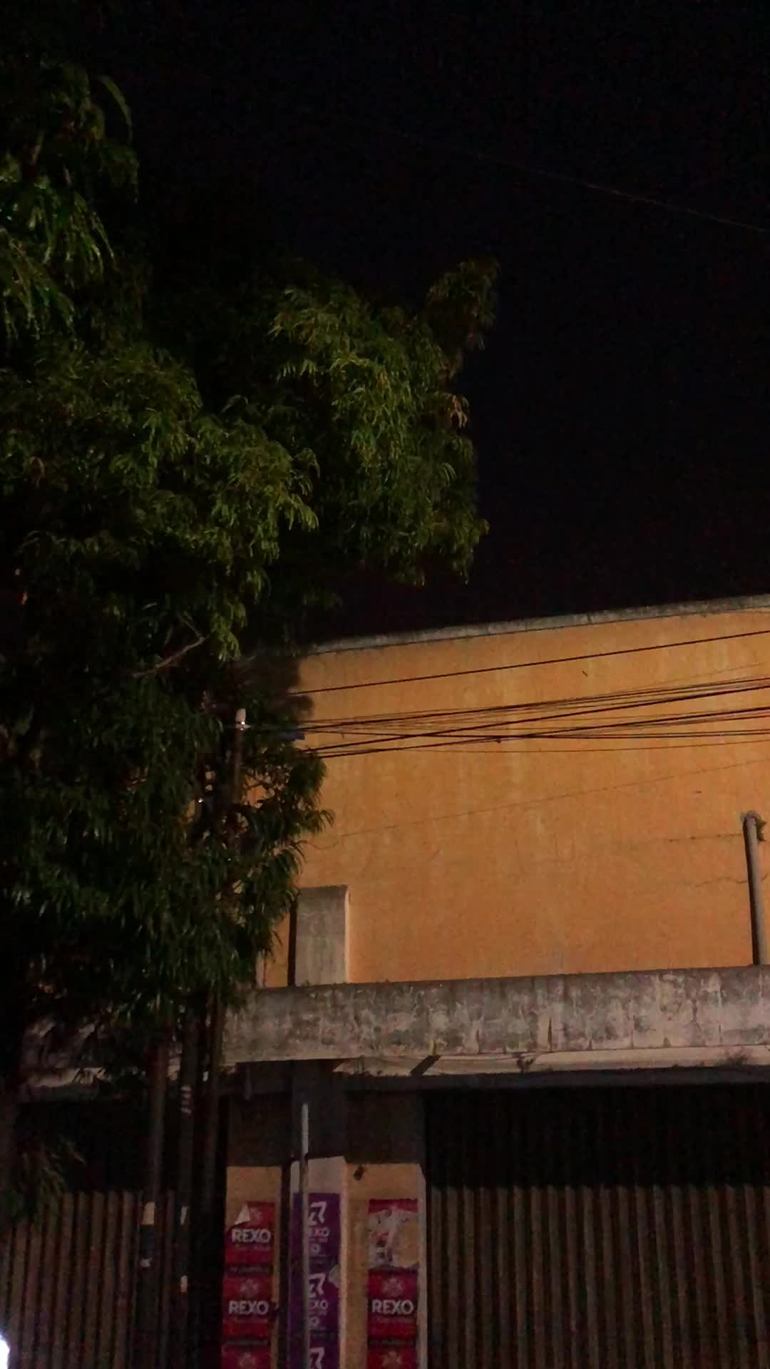@alelohiyaa