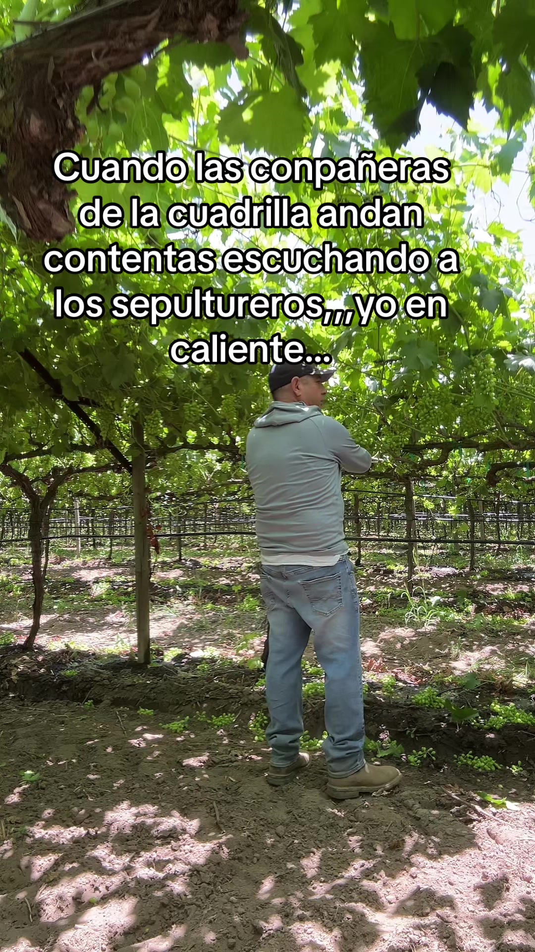 @Gustavo