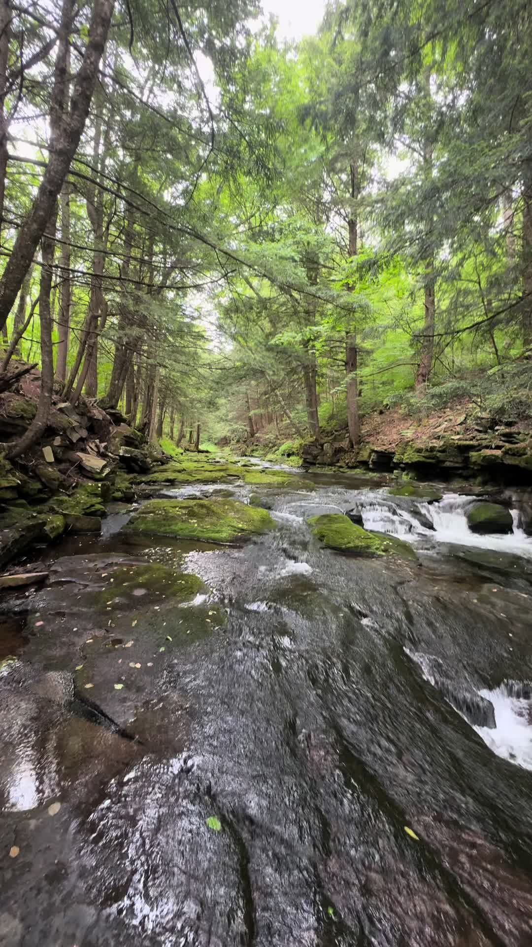 @adk__adventures