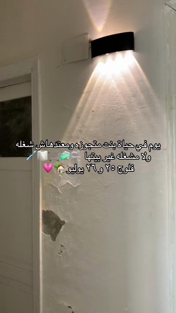@Amona🫶