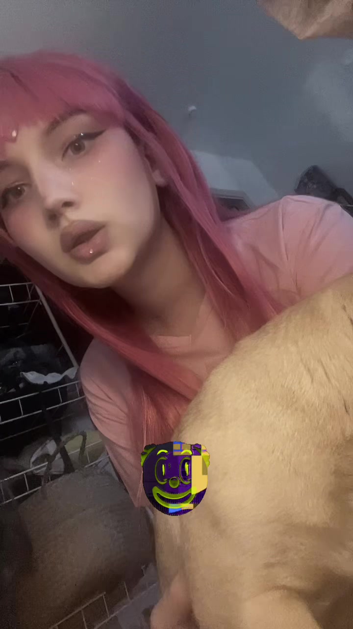@prettykitty