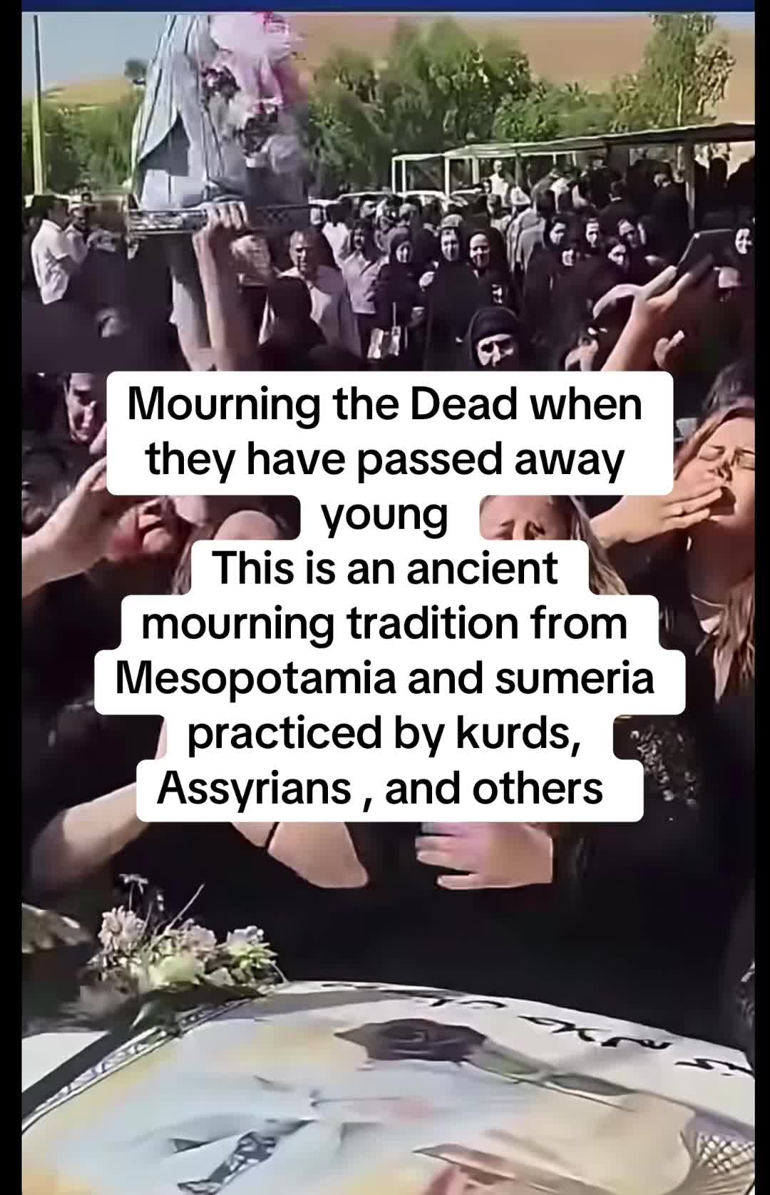 @kurdish_oracle