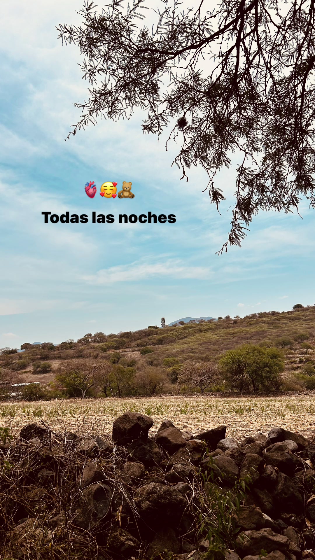 @lcia_65