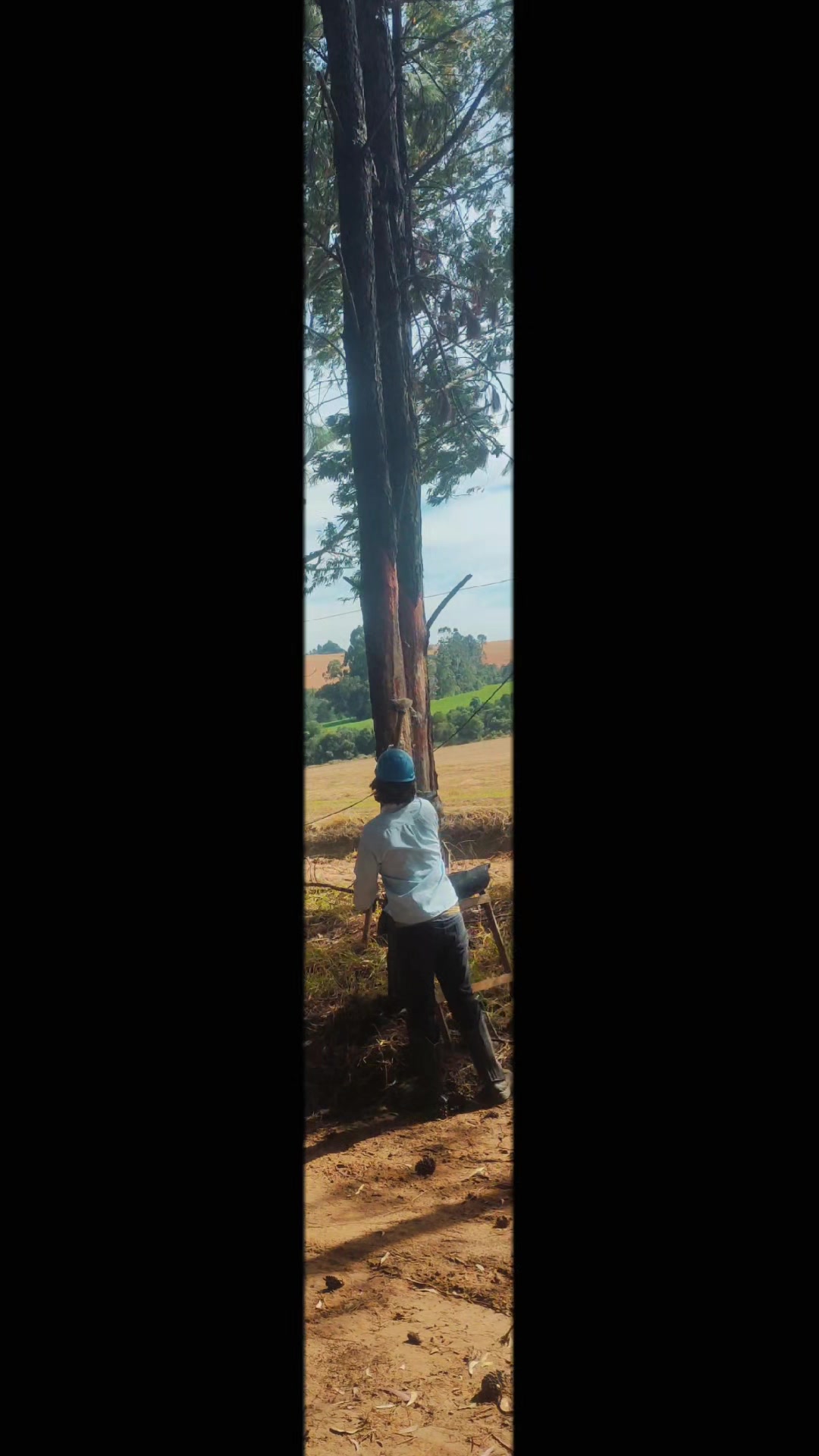 @WHresinas 🌲🛢️