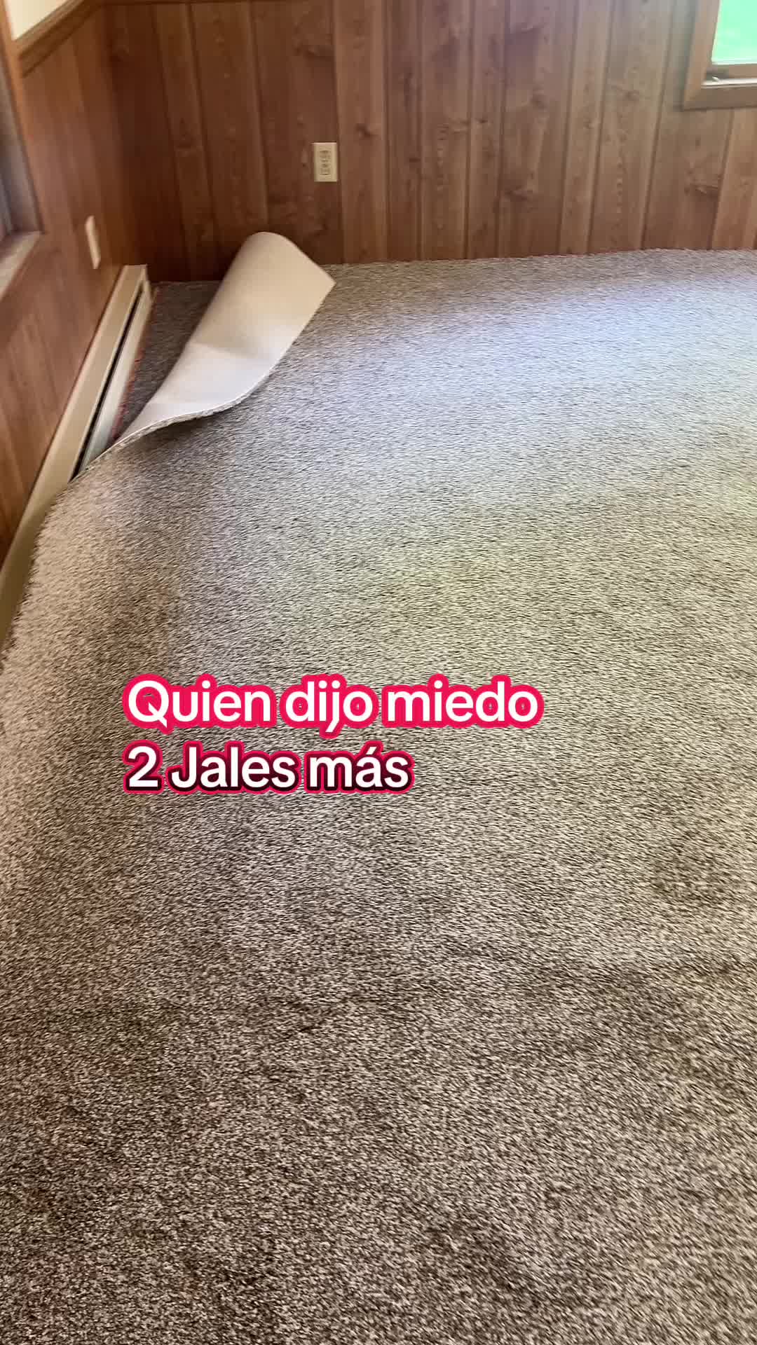 @fransisca