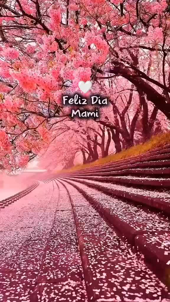 @professionalsoundpuertor