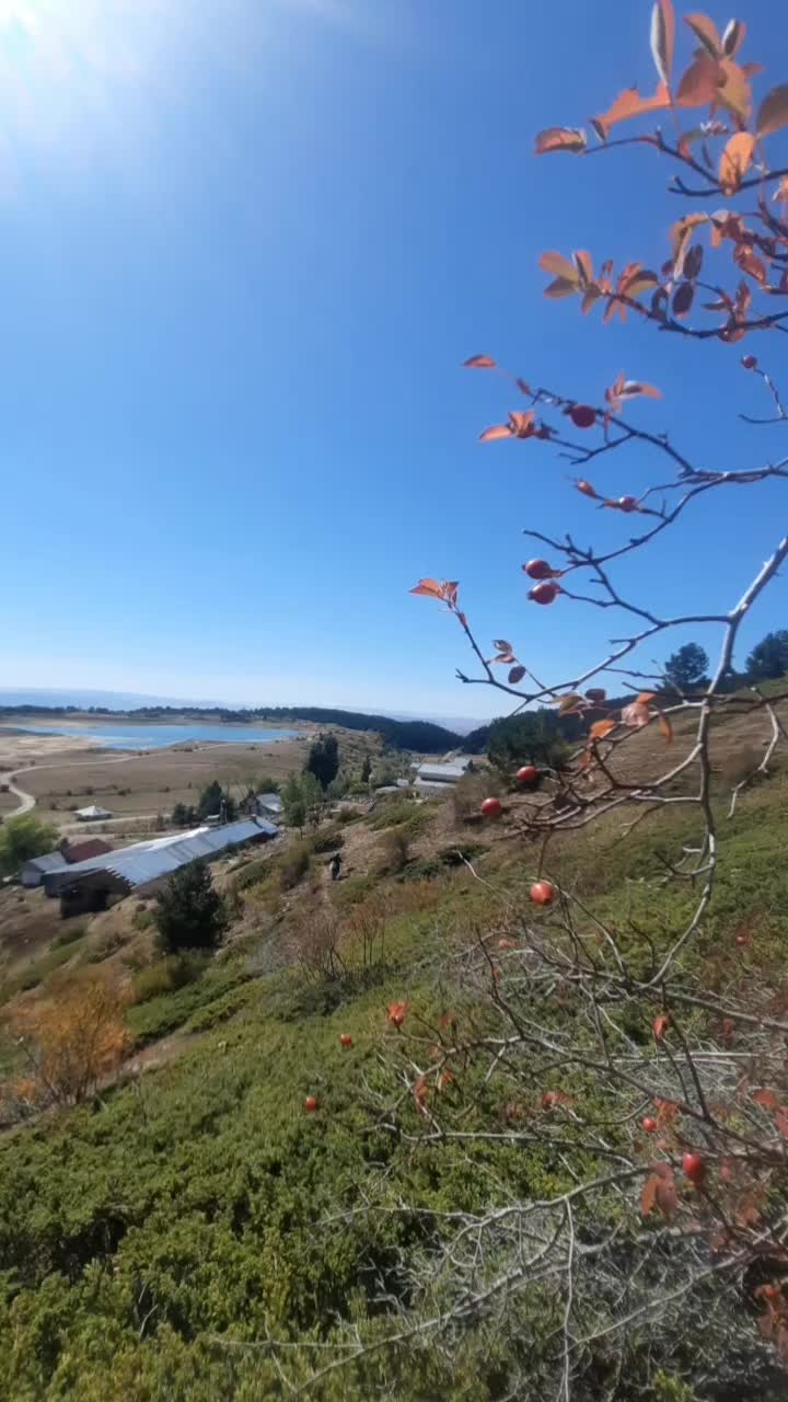 @bilge_c.181818
