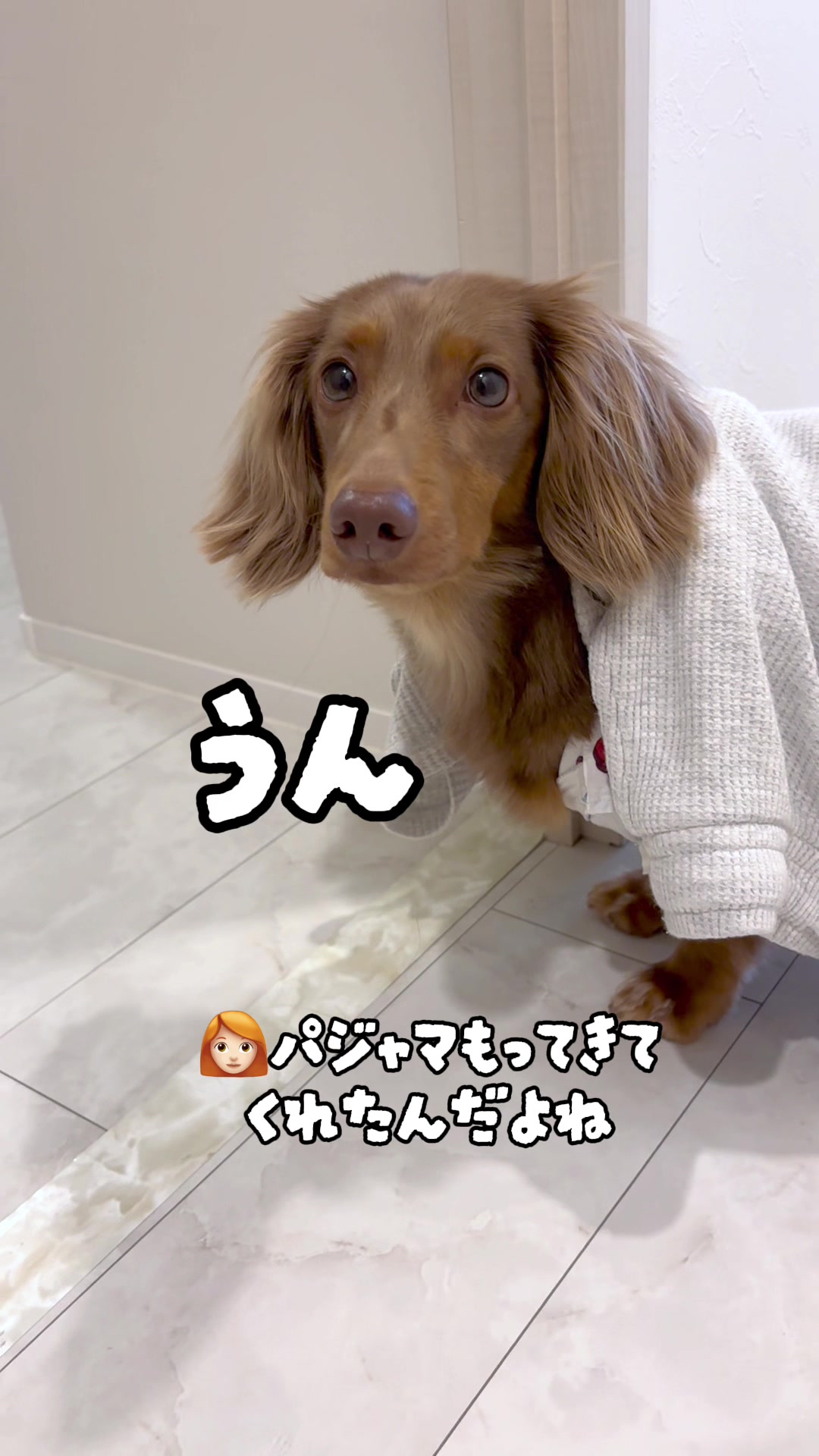 @kuku.yoyo_boy
